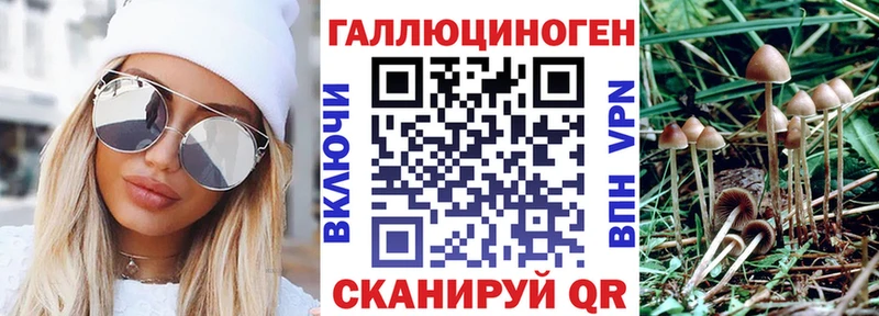 mega зеркало  Лыткарино  Псилоцибиновые грибы GOLDEN TEACHER 